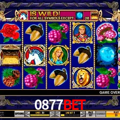 0877bet Rio de Janeiro - Professional Dealers